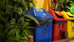 Recycling in Nederland werkt: jouw inzet maakt wél verschil